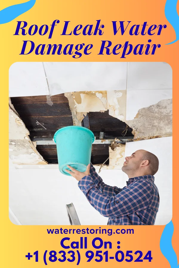 Roof Leak Water Damage Repair in Logan, ND